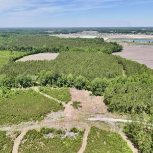 Photo #13 of Off of Skeeter Pond Rd, Grifton, NC 89.2 acres