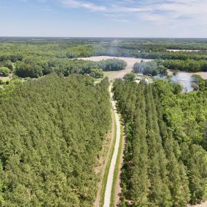 Photo #14 of Off of Skeeter Pond Rd, Grifton, NC 89.2 acres