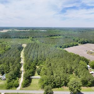 Photo #15 of Off of Skeeter Pond Rd, Grifton, NC 89.2 acres