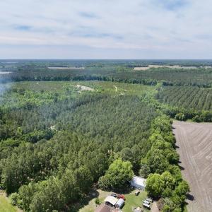 Photo #16 of Off of Skeeter Pond Rd, Grifton, NC 89.2 acres