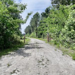Photo #17 of Off of Skeeter Pond Rd, Grifton, NC 89.2 acres
