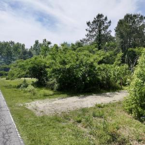 Photo #18 of Off of Skeeter Pond Rd, Grifton, NC 89.2 acres