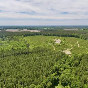 Photo #1 of Off of Skeeter Pond Rd, Grifton, NC 89.2 acres