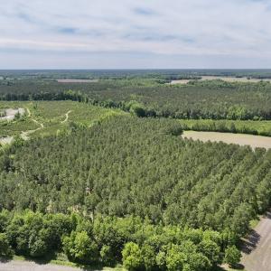 Photo #2 of Off of Skeeter Pond Rd, Grifton, NC 89.2 acres