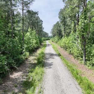 Photo #21 of Off of Skeeter Pond Rd, Grifton, NC 89.2 acres