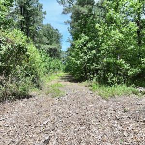 Photo #22 of Off of Skeeter Pond Rd, Grifton, NC 89.2 acres