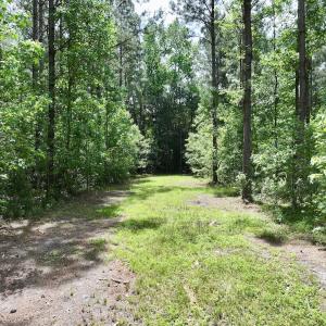 Photo #23 of Off of Skeeter Pond Rd, Grifton, NC 89.2 acres