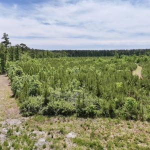 Photo #28 of Off of Skeeter Pond Rd, Grifton, NC 89.2 acres