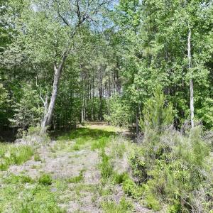 Photo #29 of Off of Skeeter Pond Rd, Grifton, NC 89.2 acres