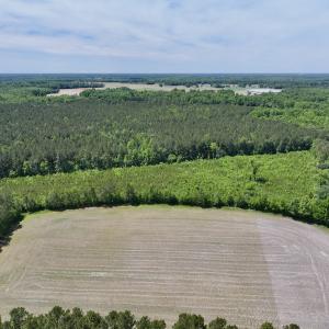 Photo #3 of Off of Skeeter Pond Rd, Grifton, NC 89.2 acres