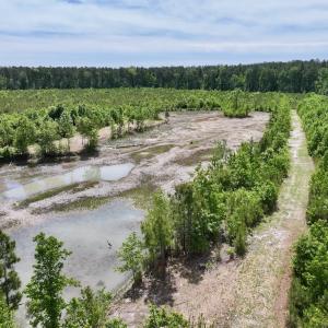 Photo #32 of Off of Skeeter Pond Rd, Grifton, NC 89.2 acres