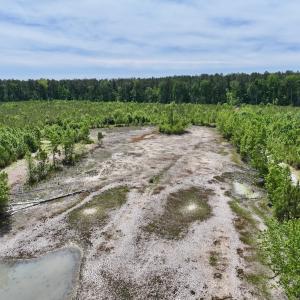 Photo #33 of Off of Skeeter Pond Rd, Grifton, NC 89.2 acres