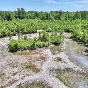 Photo #34 of Off of Skeeter Pond Rd, Grifton, NC 89.2 acres