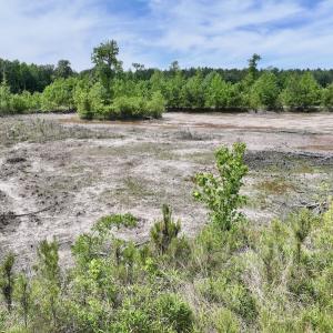 Photo #35 of Off of Skeeter Pond Rd, Grifton, NC 89.2 acres
