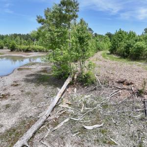 Photo #36 of Off of Skeeter Pond Rd, Grifton, NC 89.2 acres
