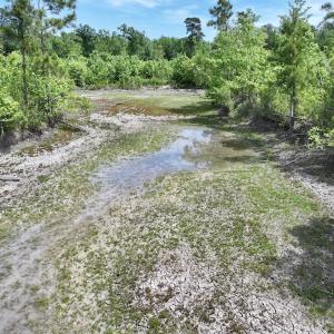 Photo #37 of Off of Skeeter Pond Rd, Grifton, NC 89.2 acres