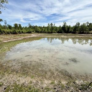 Photo #38 of Off of Skeeter Pond Rd, Grifton, NC 89.2 acres