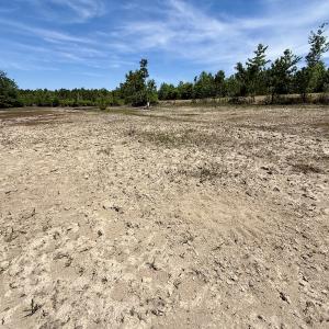 Photo #39 of Off of Skeeter Pond Rd, Grifton, NC 89.2 acres