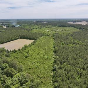 Photo #4 of Off of Skeeter Pond Rd, Grifton, NC 89.2 acres
