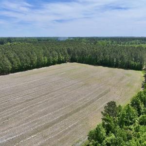 Photo #5 of Off of Skeeter Pond Rd, Grifton, NC 89.2 acres
