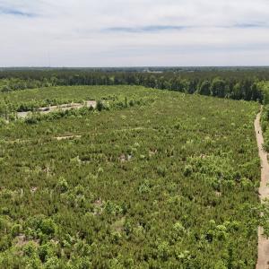 Photo #6 of Off of Skeeter Pond Rd, Grifton, NC 89.2 acres