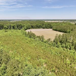 Photo #8 of Off of Skeeter Pond Rd, Grifton, NC 89.2 acres