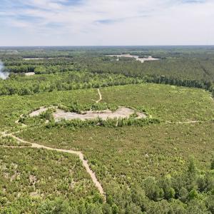Photo #9 of Off of Skeeter Pond Rd, Grifton, NC 89.2 acres