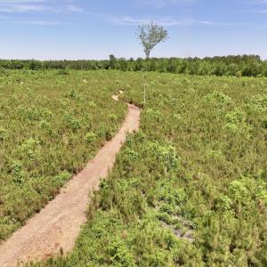 Photo #42 of Off of Skeeter Pond Rd, Grifton, NC 89.2 acres