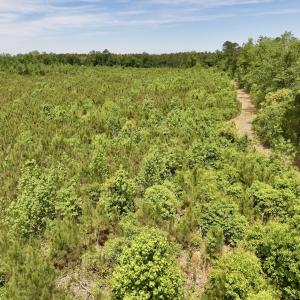 Photo #43 of Off of Skeeter Pond Rd, Grifton, NC 89.2 acres