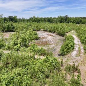 Photo #44 of Off of Skeeter Pond Rd, Grifton, NC 89.2 acres