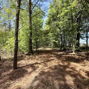 Photo #46 of Off of Skeeter Pond Rd, Grifton, NC 89.2 acres