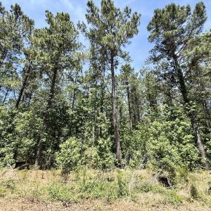 Photo #47 of Off of Skeeter Pond Rd, Grifton, NC 89.2 acres