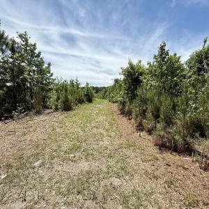 Photo #49 of Off of Skeeter Pond Rd, Grifton, NC 89.2 acres