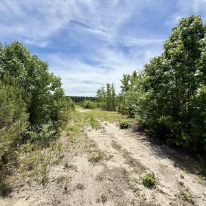 Photo #52 of Off of Skeeter Pond Rd, Grifton, NC 89.2 acres