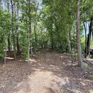 Photo #53 of Off of Skeeter Pond Rd, Grifton, NC 89.2 acres