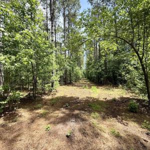 Photo #54 of Off of Skeeter Pond Rd, Grifton, NC 89.2 acres