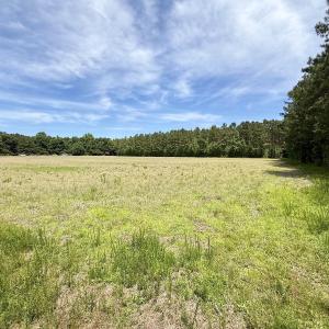 Photo #55 of Off of Skeeter Pond Rd, Grifton, NC 89.2 acres