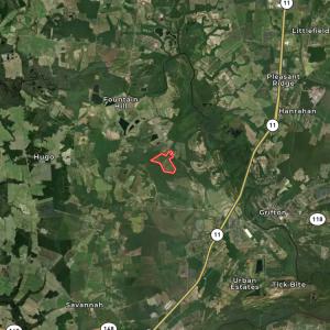Photo #57 of Off of Skeeter Pond Rd, Grifton, NC 89.2 acres