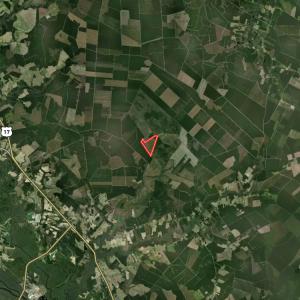 Photo #30 of Off of Guinea Mill Rd, Ernul, NC 135.0 acres