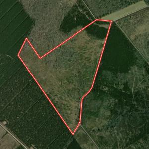 Photo #31 of Off of Guinea Mill Rd, Ernul, NC 135.0 acres