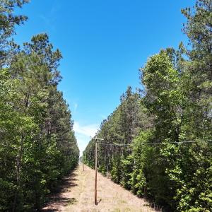 Photo #10 of Off of Concord Sappony Rd, Stony Creek, VA 28.0 acres