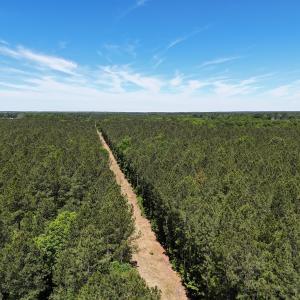 Photo #13 of Off of Concord Sappony Rd, Stony Creek, VA 28.0 acres