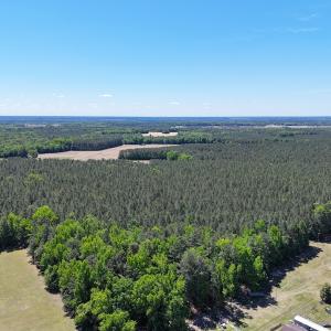 Photo #14 of Off of Concord Sappony Rd, Stony Creek, VA 28.0 acres