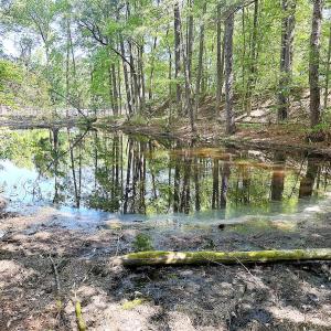 Photo #15 of Off of Concord Sappony Rd, Stony Creek, VA 28.0 acres