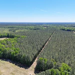 Photo #19 of Off of Concord Sappony Rd, Stony Creek, VA 28.0 acres