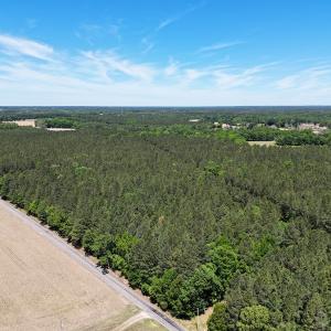 Photo #1 of Off of Concord Sappony Rd, Stony Creek, VA 28.0 acres