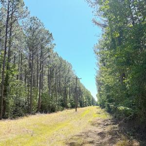 Photo #20 of Off of Concord Sappony Rd, Stony Creek, VA 28.0 acres