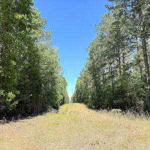 Photo #22 of Off of Concord Sappony Rd, Stony Creek, VA 28.0 acres