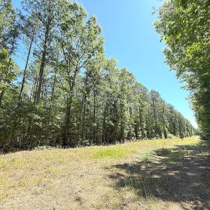 Photo #23 of Off of Concord Sappony Rd, Stony Creek, VA 28.0 acres