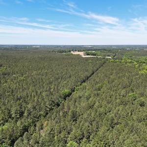 Photo #24 of Off of Concord Sappony Rd, Stony Creek, VA 28.0 acres